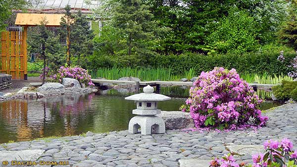 японский сад для чайной церемонии