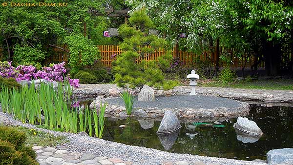 японский сад в ботаническом саду