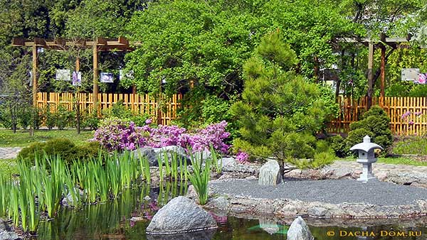 бамбуковые ворота японского сада