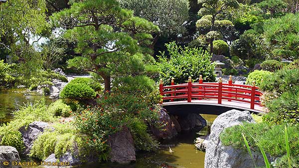 японский сад - красный мостик Такобаши
