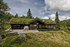 скандинавский дачный дом