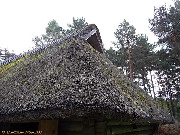 старинная соломенная крыша