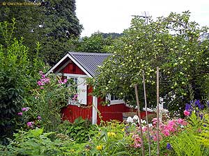 шведское садоводство
